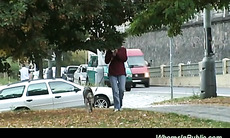 Nymph rides boner on park bench