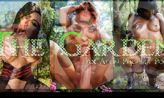 The Garden of Eden (Preview)