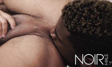 My roommate has a MASSIVE BLACK COCK I ve ever seen not