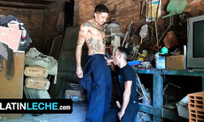 Stuck On The Side Of The Road Nico Is In Desperate Need